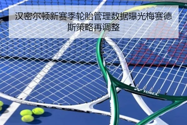汉密尔顿新赛季轮胎管理数据曝光梅赛德斯策略再调整